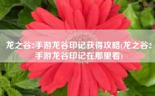 龙之谷2手游龙谷印记获得攻略(龙之谷2手游龙谷印记在那里看)