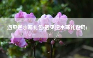 遇见逆水寒礼包(遇见逆水寒礼包码)