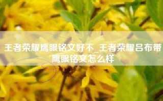 王者荣耀鹰眼铭文好不_王者荣耀吕布带鹰眼铭文怎么样