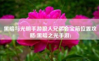 黑暗与光明手游狼人兄弟会宝箱位置攻略(黑暗之光手游)