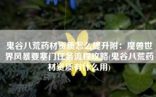 鬼谷八荒药材资质怎么提升附：魔兽世界风暴要塞门任务流程攻略(鬼谷八荒药材资质有什么用)
