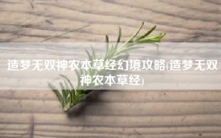 造梦无双神农本草经幻境攻略(造梦无双神农本草经)