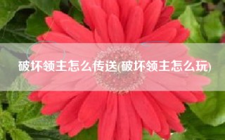破坏领主怎么传送(破坏领主怎么玩)