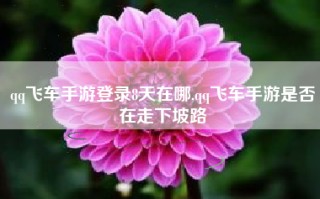 qq飞车手游登录8天在哪,qq飞车手游是否在走下坡路