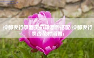 神都夜行录酒灵拓印怎么搭配(神都夜行录杏花村酒灵)
