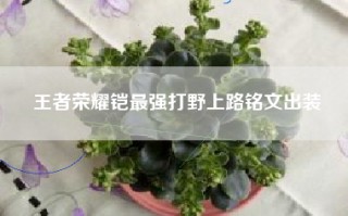 王者荣耀铠最强打野上路铭文出装