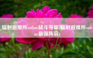 辐射避难所online战斗等级(辐射避难所online最强阵容)