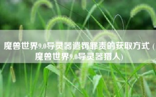 魔兽世界9.0导灵器遣罚罪责的获取方式 (魔兽世界9.0导灵器猎人)