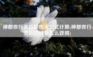神都夜行录拓印伤害公式计算(神都夜行录拓印经验怎么获得)