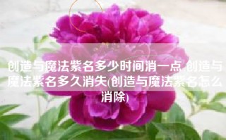 创造与魔法紫名多少时间消一点 创造与魔法紫名多久消失(创造与魔法紫名怎么消除)