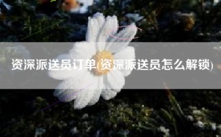 资深派送员订单(资深派送员怎么解锁)