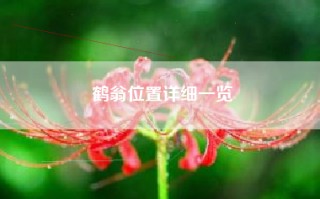 鹤翁位置详细一览