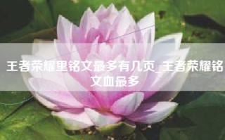 王者荣耀里铭文最多有几页_王者荣耀铭文血最多