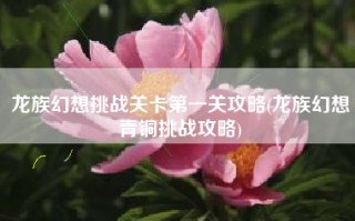 龙族幻想挑战关卡第一关攻略(龙族幻想青铜挑战攻略)