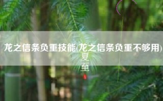 龙之信条负重技能(龙之信条负重不够用)