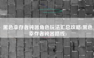 黑色幸存者钝器角色玩法汇总攻略(黑色幸存者钝器路线)