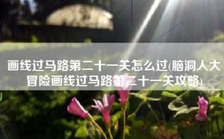 画线过马路第二十一关怎么过(脑洞人大冒险画线过马路第二十一关攻略)