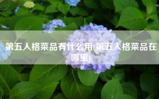 第五人格菜品有什么用(第五人格菜品在哪里)