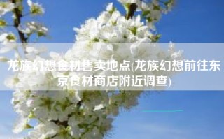龙族幻想食材售卖地点(龙族幻想前往东京食材商店附近调查)