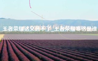 王者荣耀铭文选不了_王者荣耀寒铭是谁