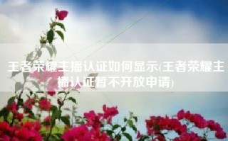王者荣耀主播认证如何显示(王者荣耀主播认证暂不开放申请)