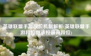 英雄联盟手游段位机制解析(英雄联盟手游段位继承按最高段位)