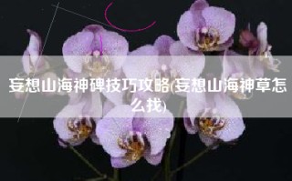 妄想山海神碑技巧攻略(妄想山海神草怎么找)