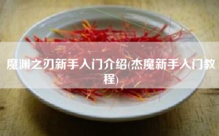 魔渊之刃新手入门介绍(杰魔新手入门教程)