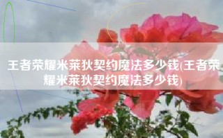 王者荣耀米莱狄契约魔法多少钱(王者荣耀米莱狄契约魔法多少钱)