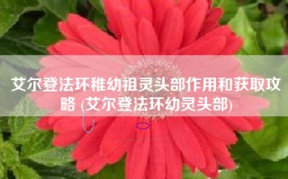 艾尔登法环稚幼祖灵头部作用和获取攻略 (艾尔登法环幼灵头部)
