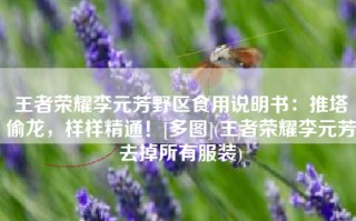 王者荣耀李元芳野区食用说明书：推塔偷龙，样样精通！[多图](王者荣耀李元芳去掉所有服装)