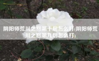 阴阳师荒川之怒第十层怎么打(阴阳师荒川之怒第九层怎么打)