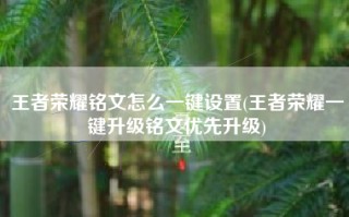 王者荣耀铭文怎么一键设置(王者荣耀一键升级铭文优先升级)