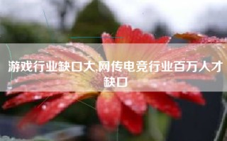 游戏行业缺口大,网传电竞行业百万人才缺口