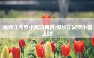 爆炒江湖罗小黑如何得(爆炒江湖罗小黑主题)