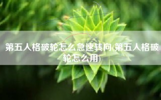 第五人格破轮怎么急速转向(第五人格破轮怎么用)