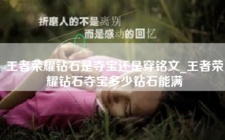 王者荣耀钻石是夺宝还是穿铭文_王者荣耀钻石夺宝多少钻石能满