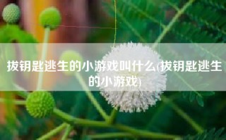 拔钥匙逃生的小游戏叫什么(拔钥匙逃生的小游戏)