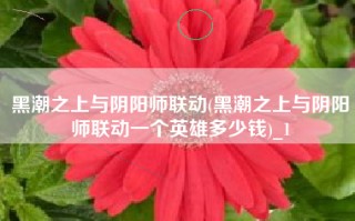 黑潮之上与阴阳师联动(黑潮之上与阴阳师联动一个英雄多少钱)_1