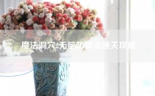 魔法洞穴2无脑防御流通关攻略