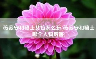 薇薇安和骑士艾拉怎么玩(薇薇安和骑士哪个人物厉害)