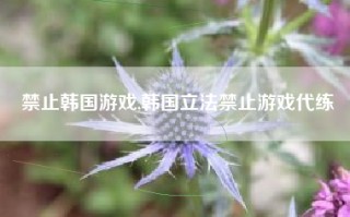 禁止韩国游戏,韩国立法禁止游戏代练