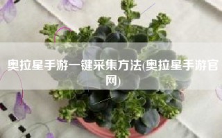 奥拉星手游一键采集方法(奥拉星手游官网)