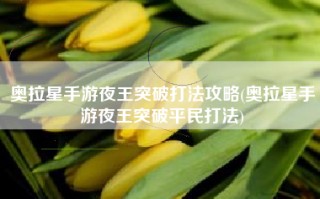 奥拉星手游夜王突破打法攻略(奥拉星手游夜王突破平民打法)