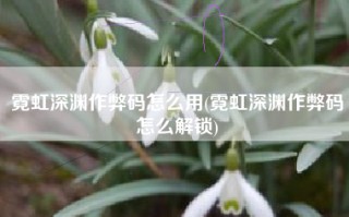 霓虹深渊作弊码怎么用(霓虹深渊作弊码怎么解锁)