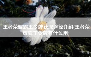 王者荣耀霸王令牌获取途径介绍(王者荣耀霸王令牌有什么用)
