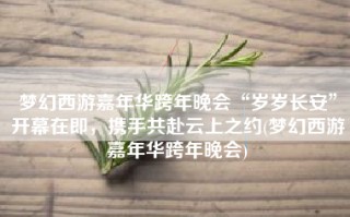 梦幻西游嘉年华跨年晚会“岁岁长安”开幕在即，携手共赴云上之约(梦幻西游嘉年华跨年晚会)