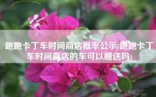 跑跑卡丁车时间商店概率公示(跑跑卡丁车时间商店的车可以赠送吗)