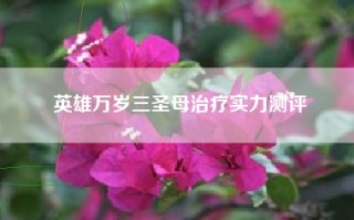 英雄万岁三圣母治疗实力测评