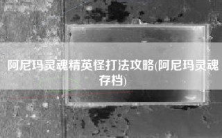 阿尼玛灵魂精英怪打法攻略(阿尼玛灵魂存档)